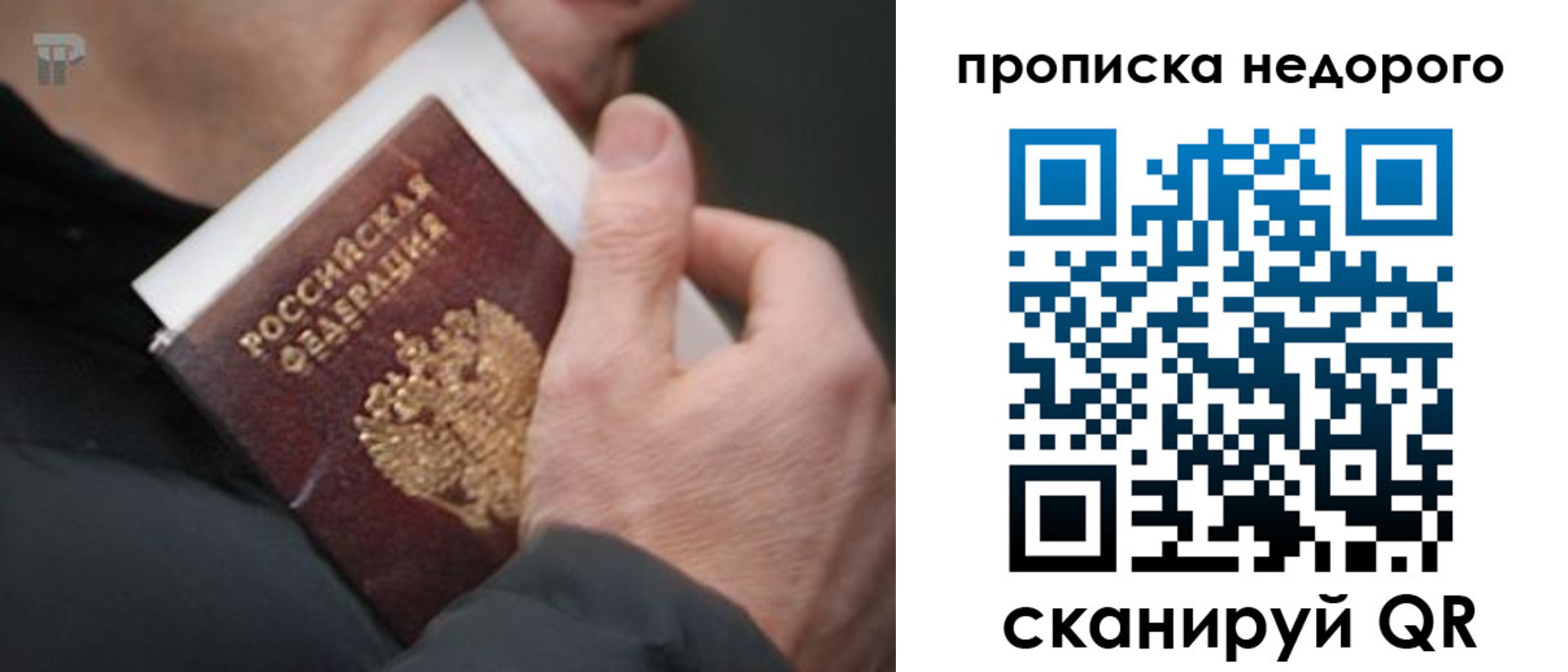 временная регистрация гарантия в Торжоке